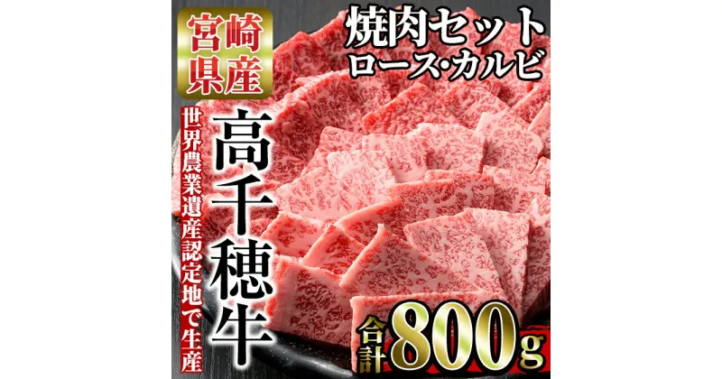 【ふるさと納税】高千穂牛 焼き肉セット(ロース・カルビ各400g)国産 宮崎県産 宮崎牛 牛肉 焼肉 ロース カルビ 霜降り A4 和牛 ブランド牛【MT014】【JAみやざき 高千穂牛ミートセンター】