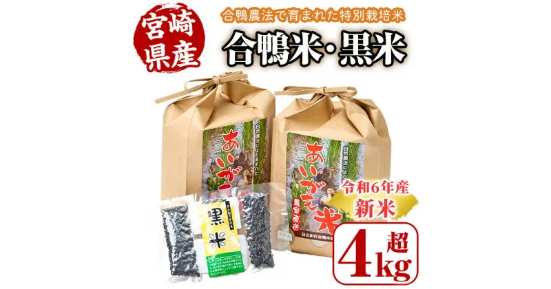 【ふるさと納税】＜数量限定＞令和6年産アイガモ米(2kg×2袋)と黒米(42g)米 白米 精米 国産 ご飯 【MU015】【日之影町村おこし総合産業(株)】