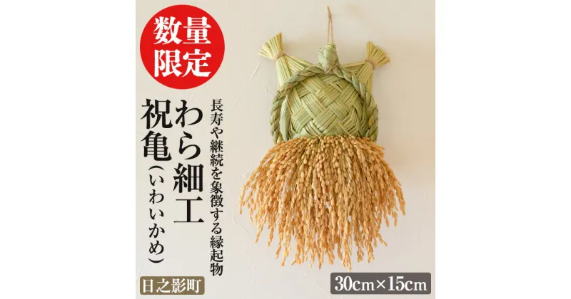 【ふるさと納税】＜先行予約受付中！期間限定・2025年2月～5月の間に発送予定＞わら細工 祝亀(30cm×15cm)縁起物 装飾 工芸品 民芸品 手作り【WR005】【株式会社たくぼ】