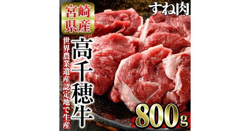 【ふるさと納税】高千穂牛 すね肉(計800g・400g×2P)国産 宮崎県産 宮崎牛 牛肉 スネ肉 煮込み料理 霜降り A4 和牛 ブランド牛【MT003】【JAみやざき 高千穂牛ミートセンター】