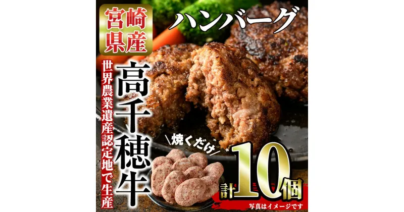 【ふるさと納税】高千穂牛 ハンバーグ(計10個・2個×5P)国産 宮崎県産 宮崎牛 牛肉 ハンバーグ 焼くだけ 便利 霜降り A4 和牛 ブランド牛 高千穂【MT005】【JAみやざき 高千穂牛ミートセンター】