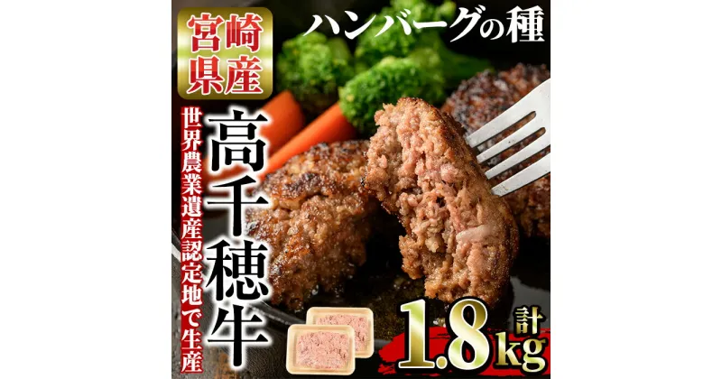 【ふるさと納税】高千穂牛 ハンバーグの種(計1.8kg・900g×2P)国産 宮崎県産 宮崎牛 牛肉 ハンバーグ 霜降り A4 和牛 ブランド牛 【MT006】【JAみやざき 高千穂牛ミートセンター】