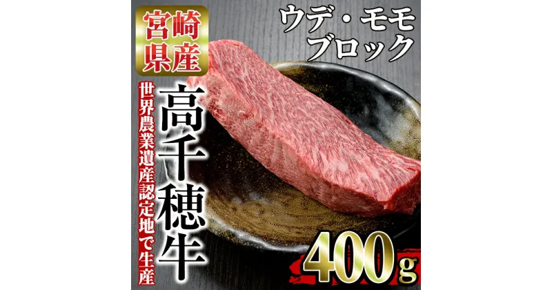 【ふるさと納税】高千穂牛 高千穂 ウデ・モモブロック(400g) 国産 宮崎県産 宮崎牛 牛肉 煮込み料理 肉厚 焼肉 霜降り A4 和牛 ブランド牛 【MT007】【JAみやざき 高千穂牛ミートセンター】