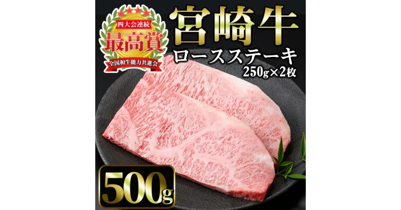 【ふるさと納税】宮崎牛 ロースステーキ(計500g・250g×2枚) 国産 宮崎県産 宮崎牛 牛肉 ステーキ ロース A4 和牛【MI011】【(株)ミヤチク宮崎加工センター】