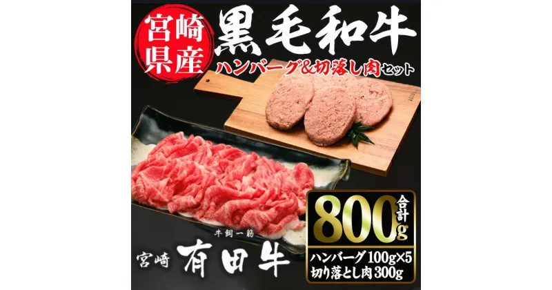 【ふるさと納税】宮崎黒毛和牛ハンバーグと切落しの2種セット(ハンバーグ100g×5個・切落し300g)国産 宮崎県産 黒毛和牛 ハンバーグ 小分け【AR002】【(有)有田牧畜産業 食肉加工センター】