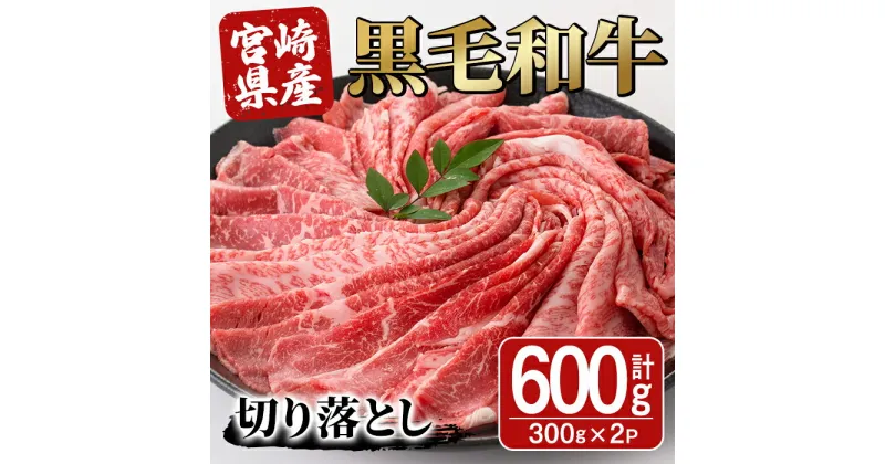 【ふるさと納税】宮崎県産黒毛和牛切り落とし(600g・300g×2P)モモ カタ バラ 国産 牛肉 こま肉 精肉 宮崎県産牛 お肉 黒毛和牛 おにく お取り寄せ【SJ009】【日本ハムマーケティング株式会社】