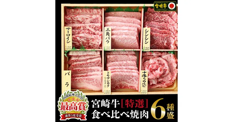 【ふるさと納税】宮崎牛＜特選＞食べ比べ焼肉6種盛(合計600g) 牛肉 精肉 肉 ブランド和牛 お取り寄せ 国産 宮崎県【SG019】【株式会社SHINGAKI】