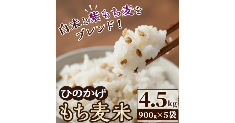 【ふるさと納税】＜令和5年産＞宮崎県日之影町産もち麦米(900g×5袋) 紫もち麦 ヒノヒカリ 米 精米 国産 小分け 【AF001】【株式会社ひのかげアグリファーム】