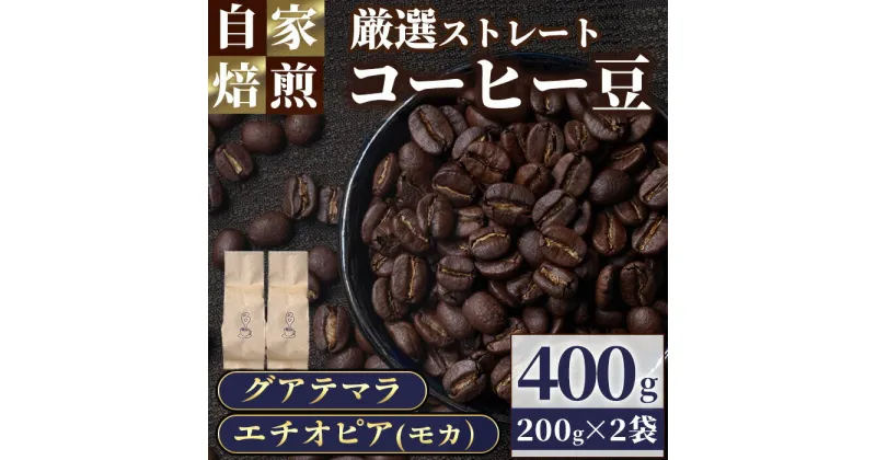 【ふるさと納税】 自家焙煎コーヒー豆　厳選ストレート2種400g（グアテマラ200g・エチオピア200g）珈琲 飲料 ドリンク アウトドア キャンプ おうち時間 モカ【BC001】【Backrest Coffee】