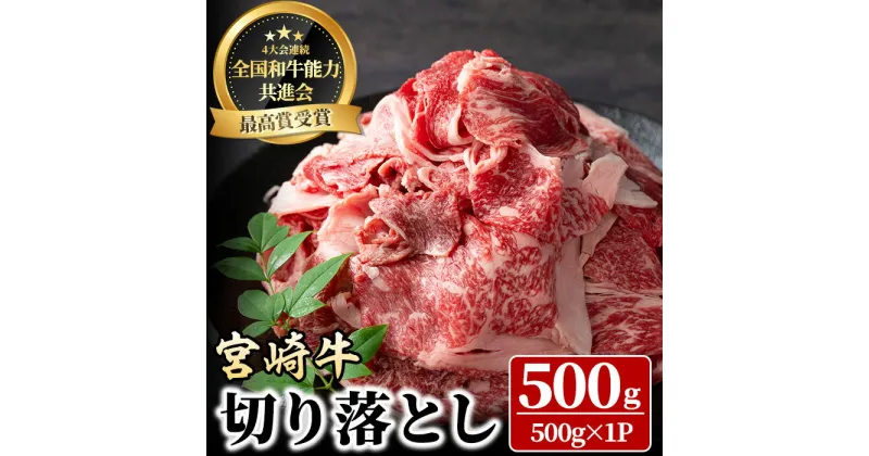 【ふるさと納税】宮崎牛 切り落とし(500g) 牛肉 肉 ブランド牛 冷凍 国産 精肉 お取り寄せ 黒毛和牛 宮崎県 【LJ004】【レグセントジョイラー株式会社】