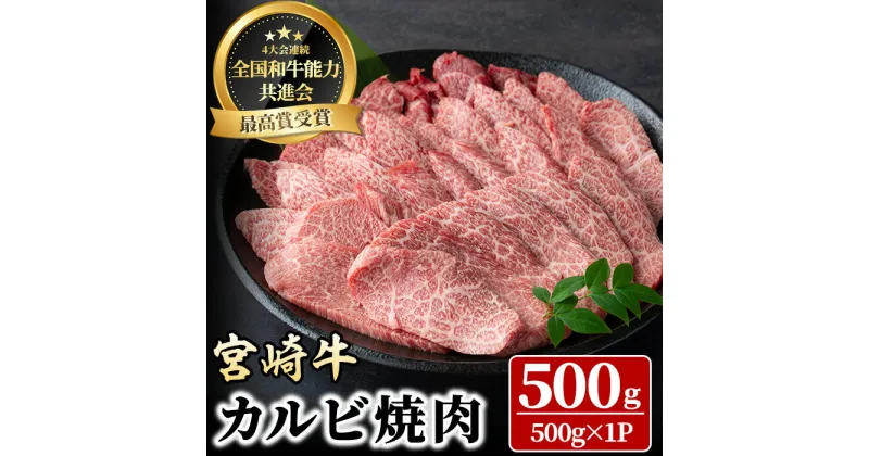 【ふるさと納税】宮崎牛 カルビ焼肉(500g) 牛肉 肉 ブランド牛 冷凍 国産 精肉 お取り寄せ 黒毛和牛 宮崎県 【LJ010】【レグセントジョイラー株式会社】