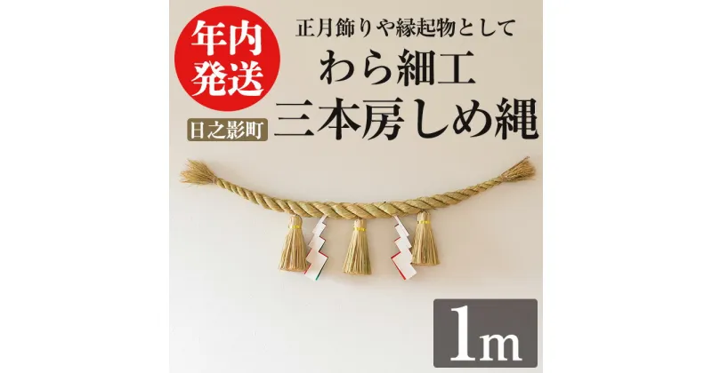 【ふるさと納税】＜先行予約受付中！期間限定・2024年内に発送＞三本房しめ縄(1m) 数量限定 縁起物 装飾 工芸品 民芸品 手作り しめ縄 正月 お正月 元旦 しめなわ わら細工 伝統工芸品 年内発送 【WR012】【株式会社たくぼ】