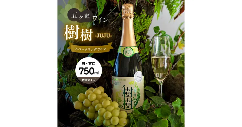 【ふるさと納税】 五ヶ瀬スパークリングワイン 樹樹 ‐JUJU‐ （ 白 ・ 甘口 ・ 発泡タイプ ） 750ml | 五ヶ瀬ワイナリー　　スパークリングワイン ワイン 白ワイン ナイアガラ 国産 宮崎 五ヶ瀬町 五ヶ瀬町産ぶどう100％