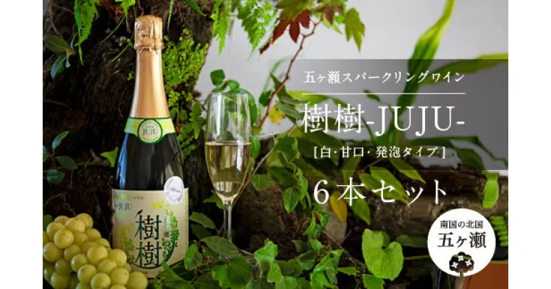 【ふるさと納税】 五ヶ瀬スパークリングワイン 樹樹 -JUJU-（ 白 ・ 甘口 ・ 発泡タイプ ） 750ml 6本 セット | 五ヶ瀬ワイナリー スパークリングワイン ワイン 白ワイン ナイアガラ 国産 宮崎 五ヶ瀬町 五ヶ瀬町産 ぶどう 100％