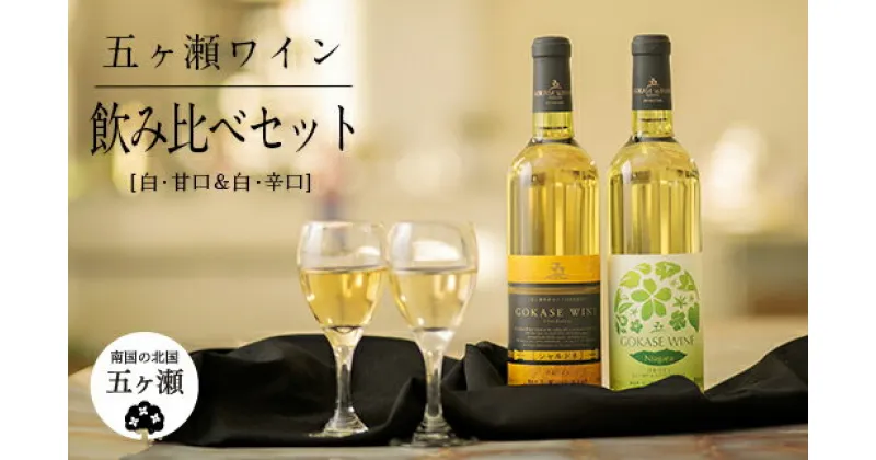 【ふるさと納税】五ヶ瀬ワイン 飲み比べセット（白・甘口＆白・辛口） | 酒 さけ お酒 おさけ アルコール ワイン 飲み比べ セット 白ワイン 宮崎県 五ヶ瀬町