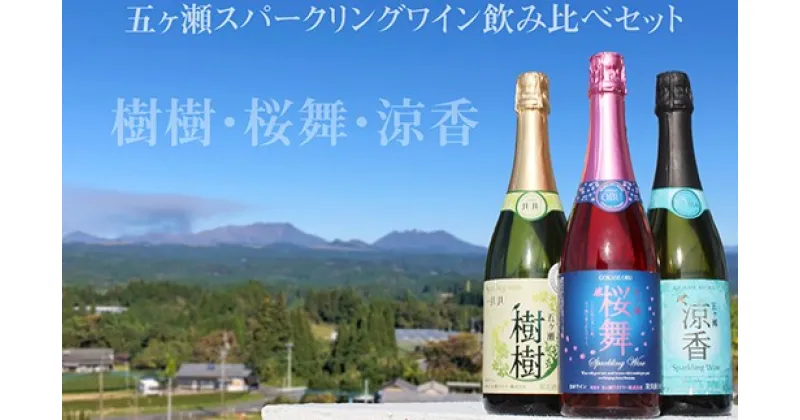 【ふるさと納税】 五ヶ瀬 スパークリングワイン 飲み比べ 3本 セット | 五ケ瀬ワイナリー ワイン お酒 酒 白 ロゼ ナイアガラ シャルドネ キャンベルアーリー 発泡 甘口 やや甘口 辛口 国産 宮崎 五ヶ瀬町