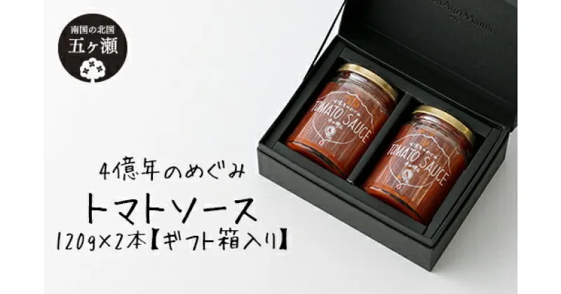 【ふるさと納税】四億年のめぐみ「トマトソース」120g×2本【ギフト箱入り】 | 宮崎県 五ヶ瀬町 調味料 加工品 ソース トマトソース 瓶 瓶詰め