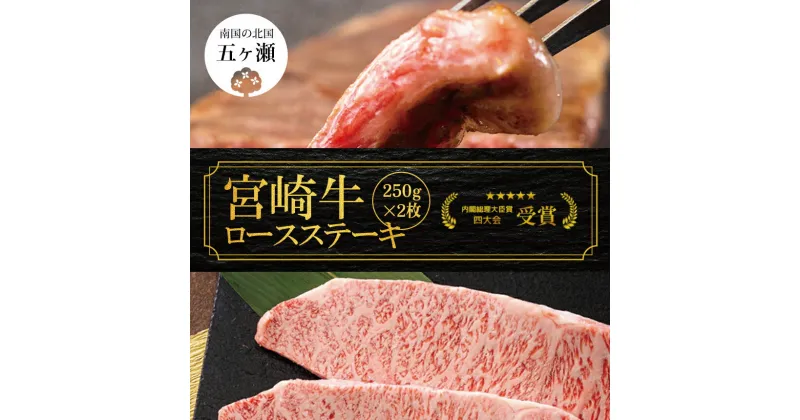 【ふるさと納税】 宮崎牛 ロース ステーキ 2枚 （ 500g ） | ※ 数量限定 肉 牛肉 牛 霜降り 宮崎 ブランド 牛 宮崎 五ヶ瀬 送料無料