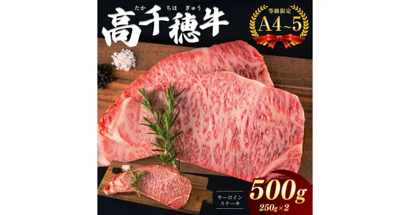 【ふるさと納税】 高千穂牛 サーロインステーキ 500g A4 ~ A5 等級 限定 | 宮崎牛 黒毛和牛 地域限定肥育 牛肉 肉 にく 国産 ブランド牛 ステーキ 内閣総理大臣賞受賞 宮崎県 西臼杵 高千穂 五ヶ瀬