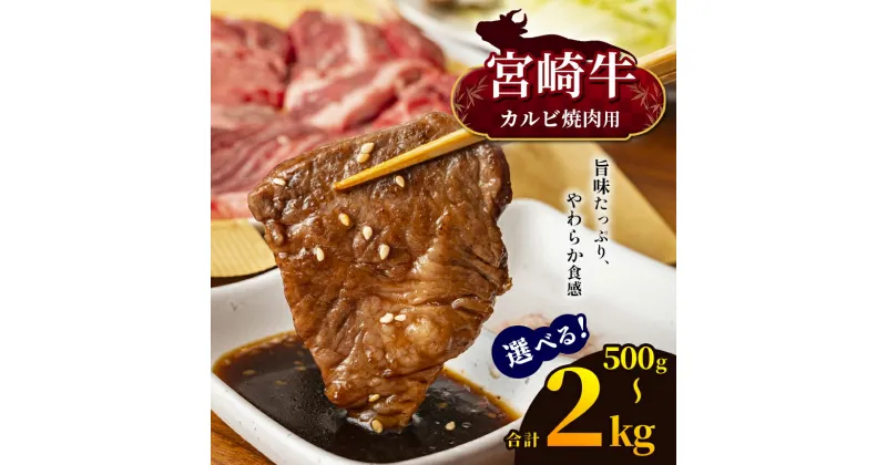 【ふるさと納税】選べる！宮崎牛 カルビ焼肉 500g or カルビ焼肉 1kg カルビ焼肉 2kg | 宮崎牛 A4 ~ A5等級 以上 黒毛和牛 牛肉 肉 にく 国産 ブランド牛 焼肉 内閣総理大臣賞 受賞 宮崎県 五ヶ瀬町