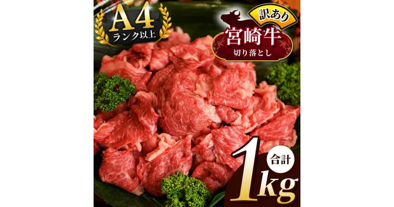 【ふるさと納税】 A4 宮崎牛 切り落とし 訳あり 1kg（ 500g × 2パック ) | 宮崎牛 黒毛和牛 牛肉 肉 にく A4 ~ A5 ランク 等級 数量現地 小分け | 国産 ブランド牛 カレー 牛丼 野菜炒め 宮崎県 五ヶ瀬町 | 日本一 宮崎牛 国産 人気 高評価