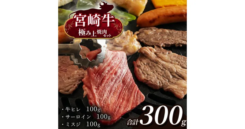 【ふるさと納税】 宮崎牛 極み上焼肉セット | 宮崎牛 牛ヒレ 100g 宮崎牛 サーロイン 100g 宮崎牛 ミスジ 100g 宮崎牛 A4 黒毛和牛 牛肉 肉 にく 赤身 国産 ブランド牛 ステーキ 焼肉 宮崎県 五ヶ瀬町