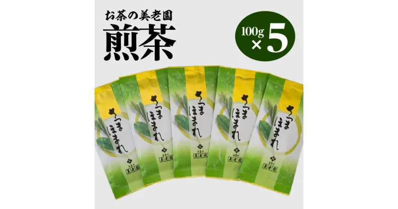 【ふるさと納税】お茶の美老園 煎茶 計500g さつまほまれ お茶 茶 緑茶 茶葉 日本茶 お茶会 茶話会 和 ティー ティータイム ドリンク おもてなし 爽やか 国産 鹿児島県産 食品 飲料 薩摩 鹿児島市 送料無料 お歳暮 Z