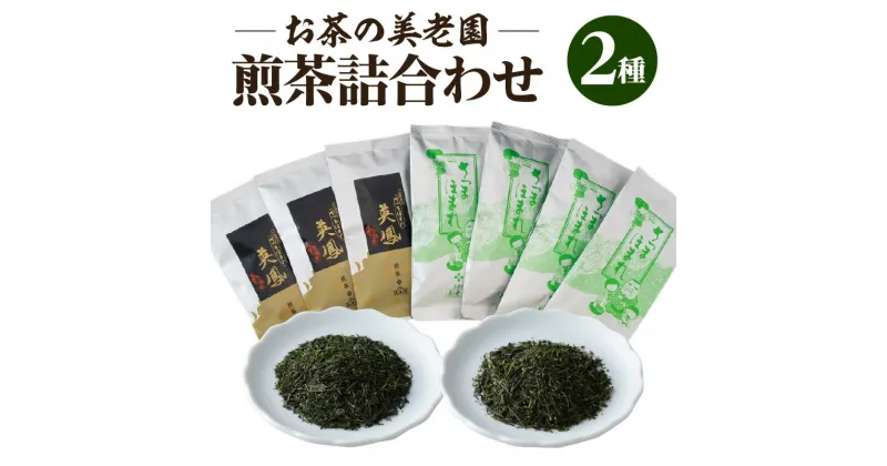 【ふるさと納税】お茶の美老園 煎茶 詰合せ セット 英鳳 徳用 さつまほまれ お茶 茶 緑茶 茶葉 日本茶 お茶会 茶話会 和 ティー ティータイム おもてなし 爽やか 国産 鹿児島県産 食品 飲料 薩摩 鹿児島市 送料無料 お歳暮 Z