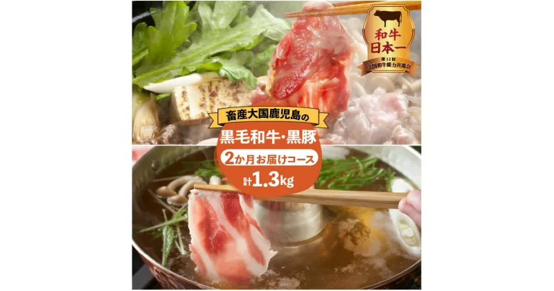 【ふるさと納税】和牛日本一！【 岩元精肉店 】 鹿児島県産黒毛和牛 かごしま黒豚 2か月 お届けコース 定期便 国産 国内産 肉 お肉 牛肉 ビーフ 和牛 国産牛 黒毛和牛 黒豚 贅沢 鹿児島県産 鍋 すきやき すき焼き しゃぶしゃぶ 鹿児島市 送料無料 MZ4