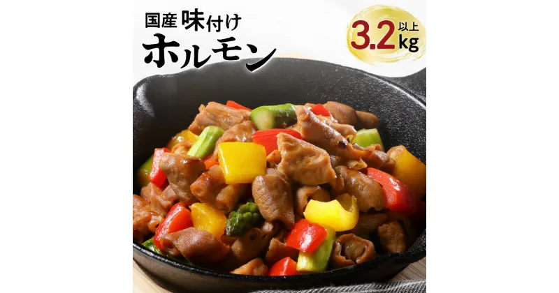 【ふるさと納税】【 ナンチクファクトリー 】 国産豚 味付けホルモン 3.2kg 以上（F） 送料無料 鹿児島市 国産 豚 もつ ホルモン 味付き 加工肉 加工品 惣菜 おかず 食品 時短 焼くだけ おすすめ ギフト プレゼント 焼肉 BBQ キャンプ 小分け 大容量 ボリューム お歳暮 Z