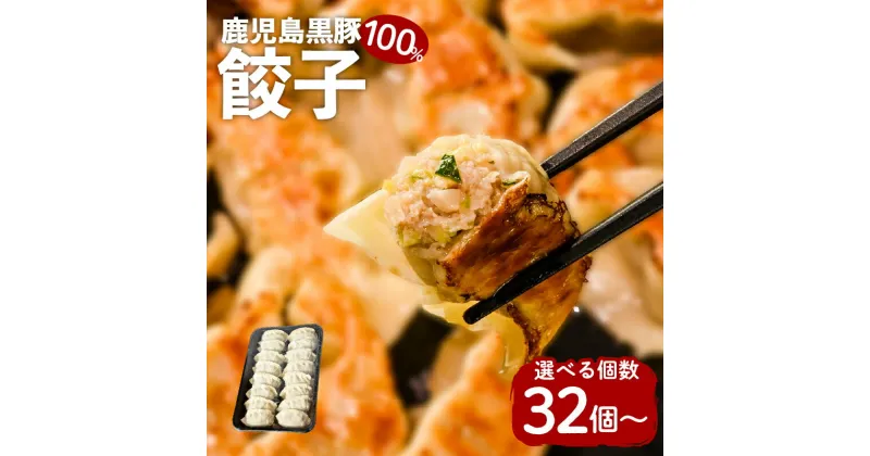 【ふるさと納税】鹿児島 黒豚 100％ 餃子 【内容量が選べる】 32個 48個 64個 20g 16個入り 鹿児島市 プレゼント ギフト 鹿児島県産黒豚 豚 冷凍餃子 こだわり製法 焼くだけ 簡単 パリパリ 国内産 国産素材 食べやすい もちもち 肉汁 ジューシー ビッグファイブ お歳暮 Z