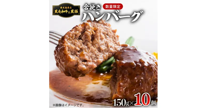 【ふるさと納税】【1,500g】黒毛和牛・黒豚生ハンバーグトレー無し SDGs 150g × 10個 数量限定 鹿児島県産 合挽き ハンバーグ 黒毛和牛 黒豚 計1500g 生ハンバーグ 合挽き 真空パック 個別トレー無し エコ 小分け 贅沢 牛肉 豚肉 簡単調理 焼くだけ 時短 鹿児島市 送料無料