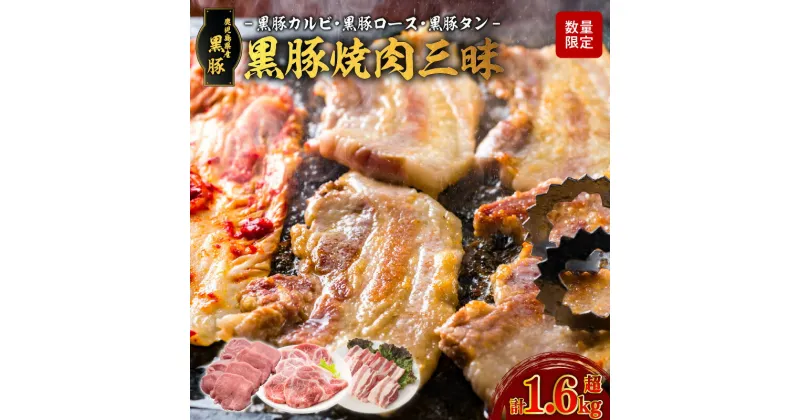 【ふるさと納税】数量限定 黒豚 焼肉 三昧 3種 セット 合計 1.6kg 超 豚肉 カルビ ロース タン 食べ比べ 詰め合わせ お肉 肉 黒 豚 食品 グルメ お取り寄せグルメ おすすめ 美味しい キャンプ アウトドア 鉄板焼き 特産品 特産 冷凍 鹿児島県産 鹿児島市 送料無料