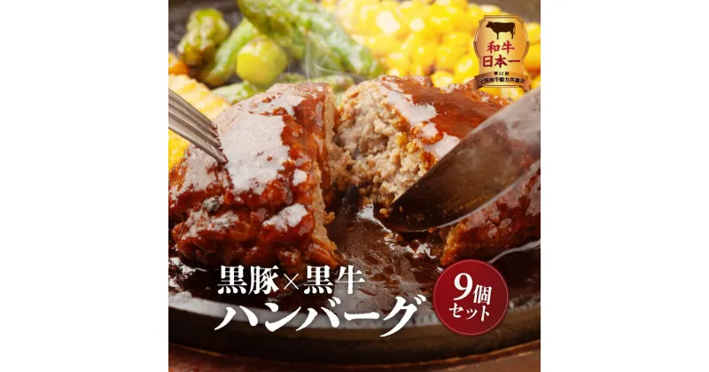 【ふるさと納税】和牛日本一 黒豚 × 黒牛 ハンバーグ 9個 セット 送料無料 鹿児島市 九州 お取り寄せ 特産品 地域の品 お土産 プレゼント 真空パック 厳選 高品質 鹿児島県産黒毛和牛 黒毛和牛 経産牛 和牛 牛 豚肉 豚 食品 バーグ 加工品 惣菜 肉汁 生ハンバーグ グルメ