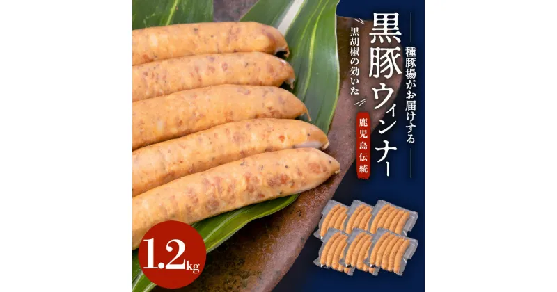 【ふるさと納税】種豚場がお届けする鹿児島伝統の黒豚　黒胡椒の効いた黒豚ウインナー ふるさと納税 鹿児島市 鹿児島県産 黒豚 黒ぶた ウインナー 小分け 特産品 ギフト 贈り物 贈りもの