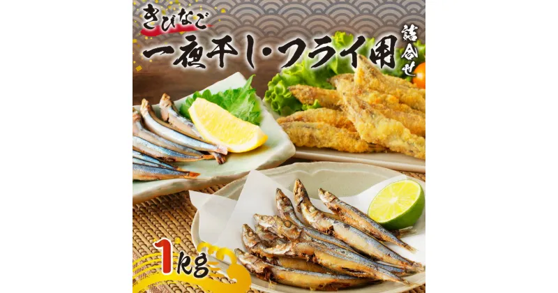 【ふるさと納税】津曲商店 きびなご 一夜干し フライ用 詰合せ 1kg 送料無料 贈り物 プレゼント ギフト セット お取り寄せ お土産 特産品 地域の品 お礼の品 家庭 揚げ物 魚 魚介 海の幸 海鮮 フライ 郷土料理 天ぷら おつまみ おやつ カルシウム 九州 鹿児島市