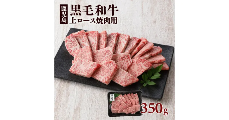 【ふるさと納税】鹿児島 黒毛和牛 上ロース 焼肉用 350g 入り 鹿児島市 鹿児島県産 バクロ 牧場直営 一頭買い 牛肉 ロース 焼き肉 BBQ バーベキュー 土産 贈り物 プレゼント ギフト 贈答 MZ2