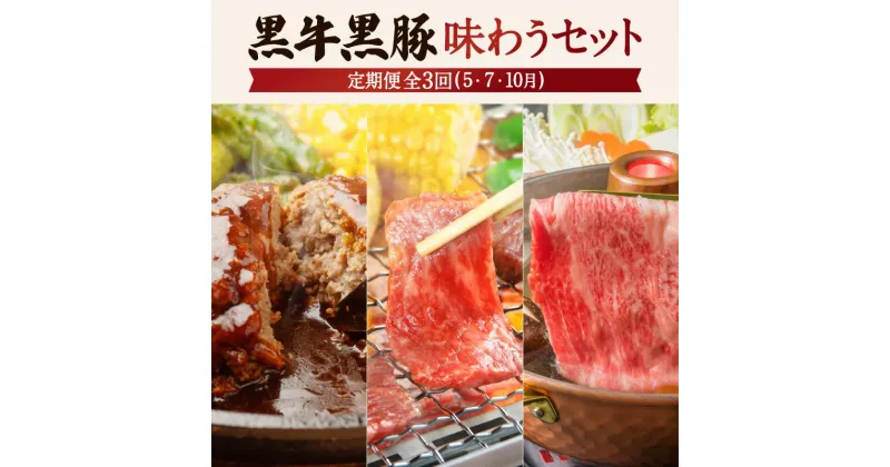 【ふるさと納税】【全3回】黒牛 黒豚 味わうセット 鹿児島県産 国産 ブランド牛 お肉 肉 和牛 国産牛 黒毛和牛 牛肉 霜降り 豚肉 豚 ハンバーグ カルビ スライス 食べ比べ セット パーティ 贈り物 ギフト 鹿児島市 送料無料 定期便 MZ4