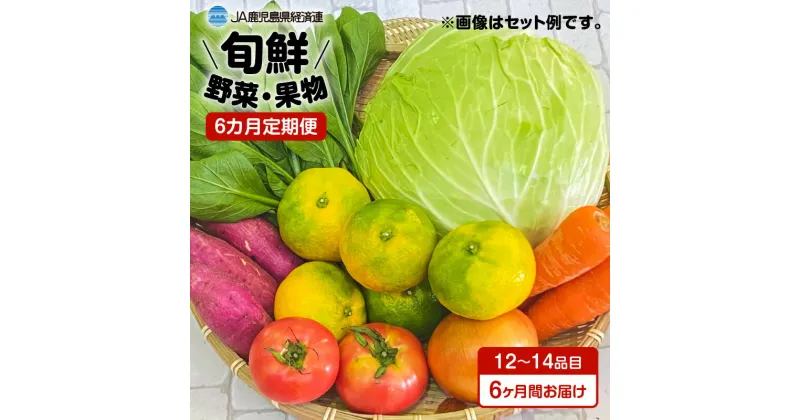 【ふるさと納税】【JA直売所セレクト】6ヵ月定期便！旬鮮野菜・果物セット（12～14品目） ふるさと納税 鹿児島市 贈り物 プレゼント ギフト お取り寄せ お土産 送料無料 やさい くだもの 新鮮 バランス 栄養 子供 こども 子ども 家庭 農家 安心 安全 旬 九州 定期便