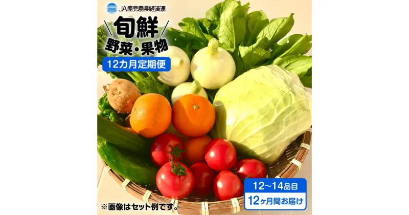 【ふるさと納税】【JA直売所セレクト】12ヵ月定期便！旬鮮野菜・果物セット（12～14品目） ふるさと納税 鹿児島市 贈り物 プレゼント ギフト お取り寄せ お土産 送料無料 やさい くだもの 新鮮 バランス 栄養 こども 子ども 家庭 農家 安心 安全 旬 九州 定期便