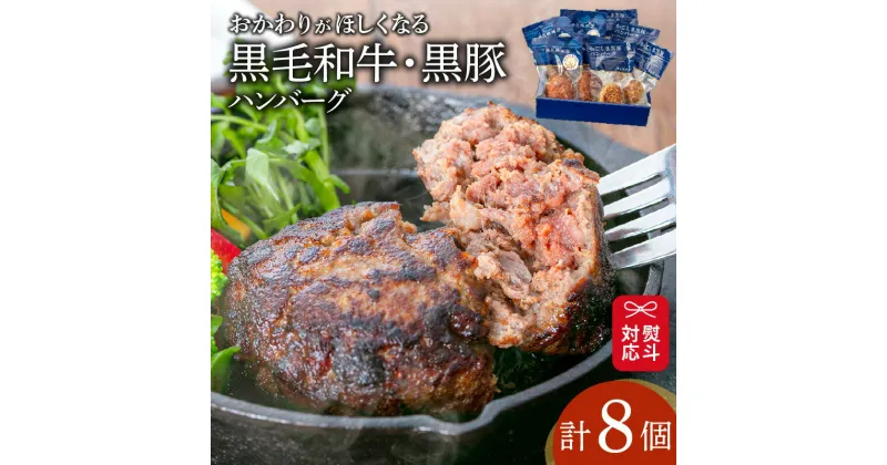 【ふるさと納税】【 岩元精肉店 】 鹿児島県産 黒毛和牛 100% 生ハンバーグ & かごしま黒豚 100% ハンバーグ (各4個入) 送料無料 鹿児島市 九州 お取り寄せ 特産品 地域の品 お土産 贈り物 プレゼント ギフト セット バラエティ 食品 グルメ 黒豚 肉 肉汁