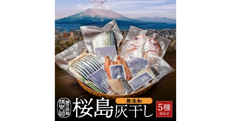 【ふるさと納税】 桜島 灰干し 5種 詰合せ 送料無料 海産物 海の幸 魚介 魚 さかな 干物 ひもの 手作り 手づくり 無添加 鯖 さば サバ 鯛 たい きびなご キビナゴ かんぱち たかえび 加工品 人気 鹿児島市 特産品 国産 ギフト 贈り物 お歳暮 Z