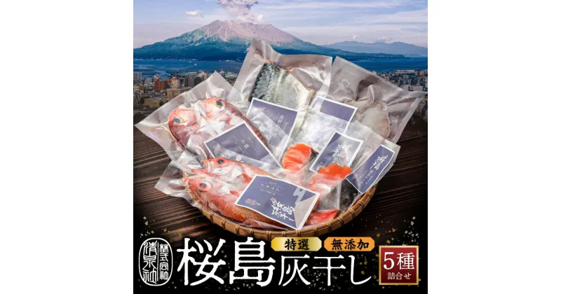 【ふるさと納税】 桜島 灰干し 5種 詰合せ 【 特選 】 送料無料 海産物 海の幸 魚介 魚 さかな 干物 ひもの 手作り 手づくり 無添加 火山灰 のどぐろ 甘鯛 アマダイ さば 鯖 アオリイカ いか サーモン 鮭 加工品 人気 ギフト 鹿児島市 国産 お歳暮 Z