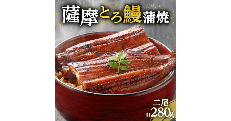 【ふるさと納税】 薩摩 とろ鰻 蒲焼 二尾 280g うなぎ 鰻 うな丼 丼 うな重 ひつまぶし とろ 土用の丑の日 丑の日 惣菜 おかず 魚 冷凍 うなぎのたれ 秘伝のたれ タレ せんゆう鰻屋 株式会社志 鹿児島 鹿児島市 おすすめ ランキング プレゼント ギフト お歳暮 Z