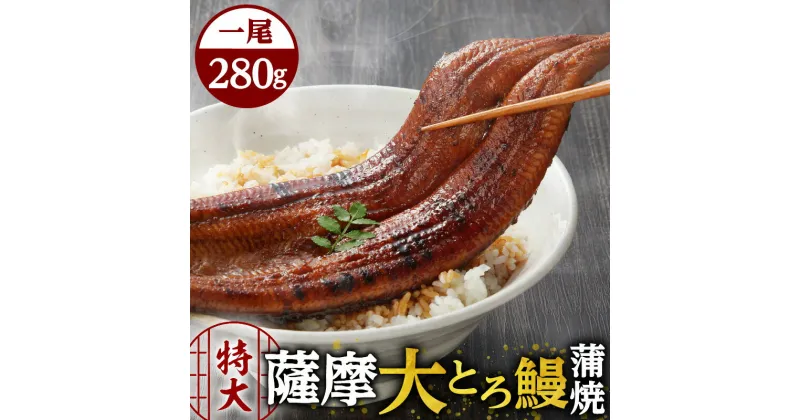 【ふるさと納税】 薩摩 大とろ鰻 蒲焼 特大サイズ 一尾 280g うなぎ 鰻 うな丼 丼 うな重 ひつまぶし 大とろ 土用の丑の日 丑の日 惣菜 魚 冷凍 うなぎのたれ 秘伝のたれ タレ せんゆう鰻屋 株式会社志 鹿児島市 おすすめ ランキング プレゼント ギフト お歳暮 Z