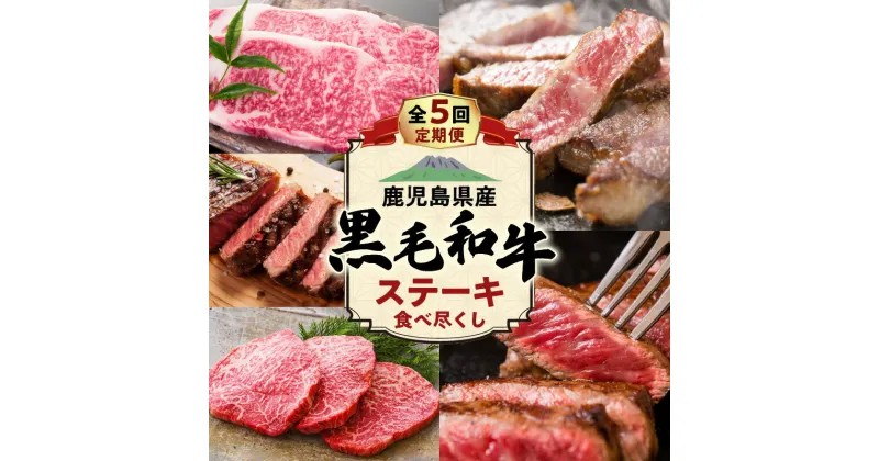 【ふるさと納税】【 全5回 】 鹿児島県産 黒毛和牛 ステーキ 食べ尽くし 定期便 サーロイン ミスジ ヒウチ 希少部位 贅沢 肉 お肉 肉汁 牛 牛肉 ビーフ 和牛 国産牛 ディナー 定期 送料無料 鹿児島市 九州 特産品 地域の品 MZ4