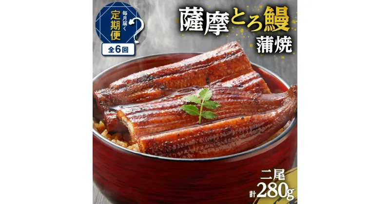 【ふるさと納税】【全6回定期便】薩摩 とろ鰻 蒲焼 二尾 280g 6回 うなぎ 鰻 蒲焼 うな丼 丼 うな重 ひつまぶし とろ 土用の丑の日 丑の日 惣菜 魚 冷凍 うなぎのたれ 秘伝のたれ タレ 定期 定期便 せんゆう鰻屋 株式会社志 鹿児島市 おすすめ ランキング プレゼント ギフト