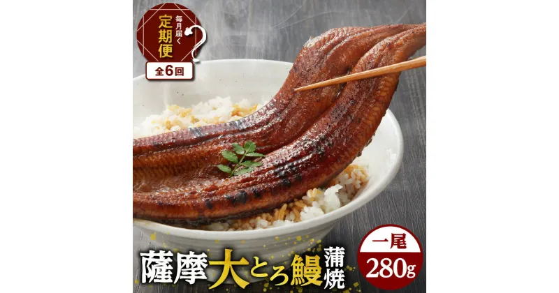 【ふるさと納税】【全6回定期便】薩摩 大とろ鰻 蒲焼 特大サイズ 一尾 280g 6回 うなぎ 鰻 蒲焼 うな丼 丼 うな重 ひつまぶし 大とろ 土用の丑の日 丑の日 惣菜 冷凍 うなぎのたれ タレ 定期 定期便 せんゆう鰻屋 株式会社志 鹿児島市 おすすめ ランキング プレゼント ギフト