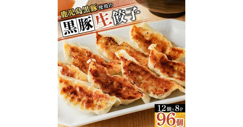 【ふるさと納税】鹿児島 黒豚使用の 黒豚 生 餃子 送料無料 鹿児島市 九州 お取り寄せ 特産品 地域の品 お礼の品 お土産 贈り物 プレゼント ギフト 黒豚餃子 焼き餃子 水餃子 蒸し餃子 冷凍 惣菜 弁当 おかず おつまみ かごしま黒豚 小分け 簡単 調理 加工食品 野菜