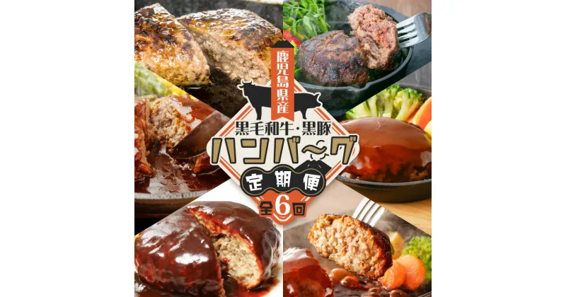 【ふるさと納税】【 全6回 】鹿児島県産 黒毛和牛 ・ 黒豚 ハンバーグ 定期便 送料無料 鹿児島市 九州 お取り寄せ 贈り物 ギフト プレゼント 肉 牛 豚 高級 贅沢 煮込み料理 小分け 詰合せ ギフト 贈答 プレゼント 味比べ 味くらべ 定期配送 期間限定 加工食品 レトルト